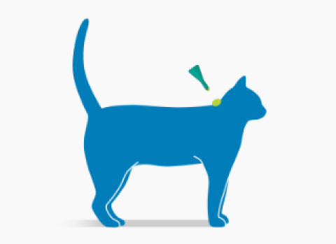 aanbrengen frontline combo