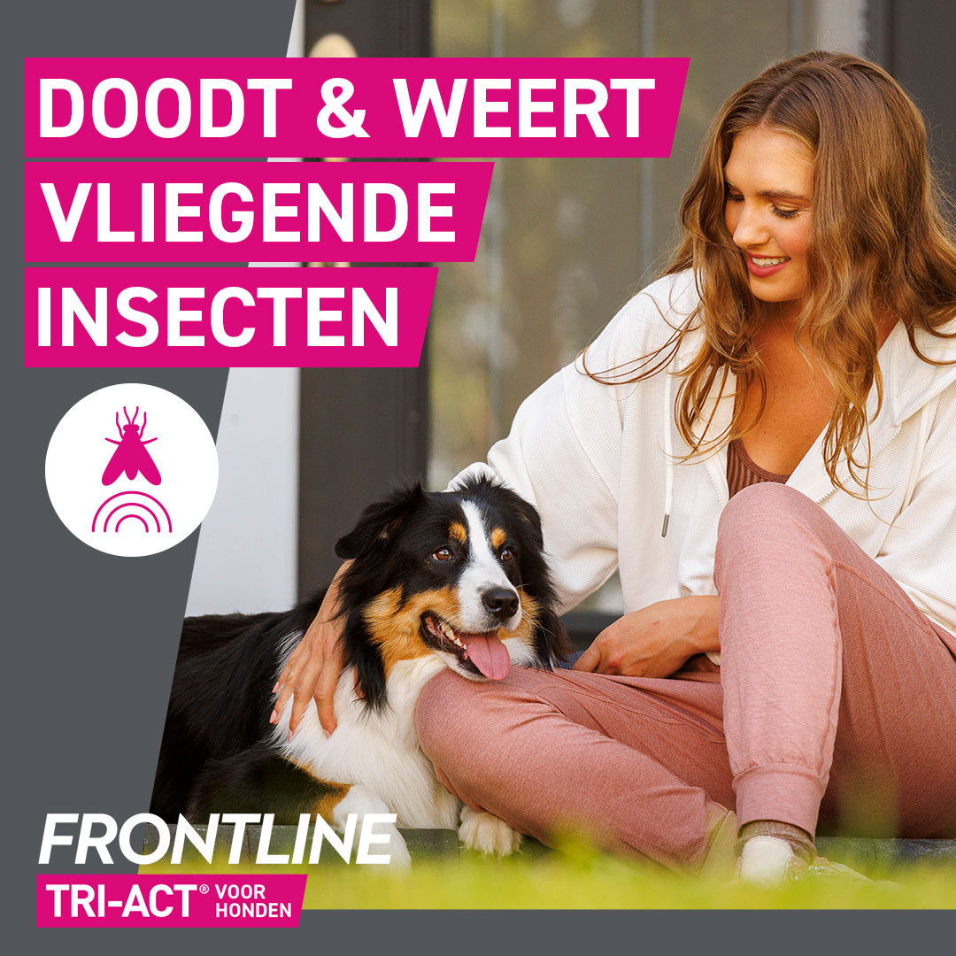 Doodt en weert vliegende insecten