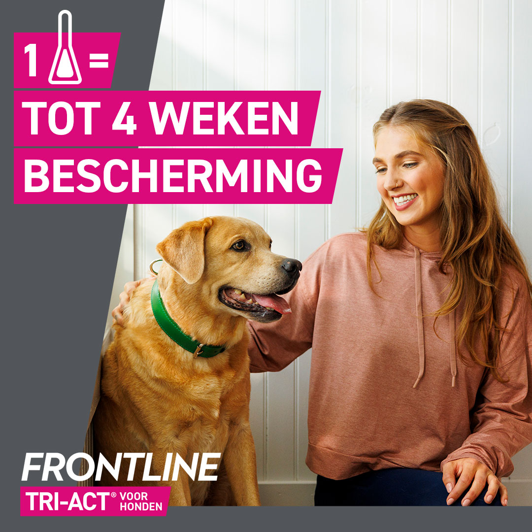 1 maand beschermd