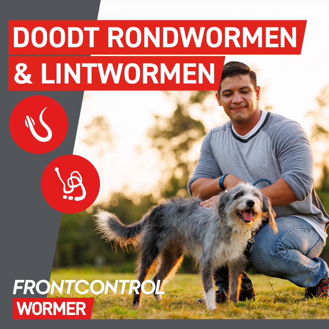 Doodt Rondwormen en lintwormen