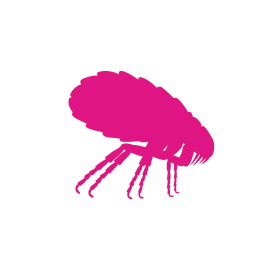 FTL Tri-Act Doodt vlooien