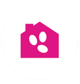 voorkomt vlooien eieren in de omgeving